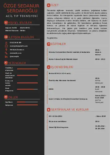 Acil Tıp Teknisyeni CV Örnekleri cv indir